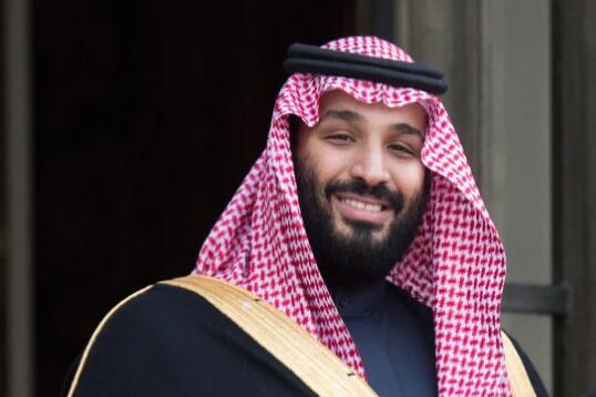 英超又一金元豪门？沙特王储将3亿英镑收购纽卡_阿什利