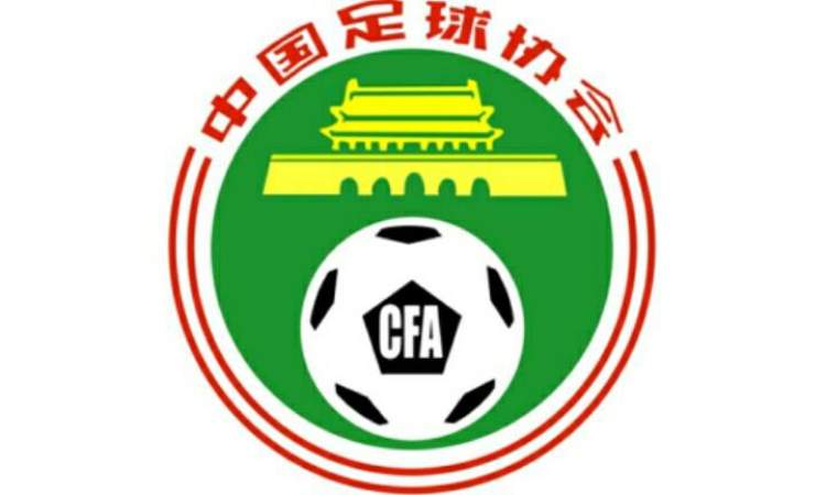 百日内22支队解散 中国职业足球遭遇底层崩塌危机_联赛
