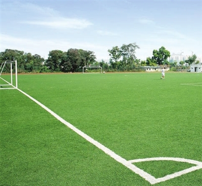 天津市完成建设社会足球场地224块 排名全国第4_健身