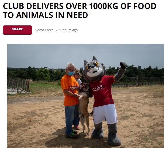 这是撒真狗粮！罗马队给流浪猫狗捐赠1吨动物粮食_意大利